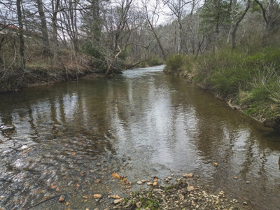 Recreational Land for Sale in Floyd VA! - image 15