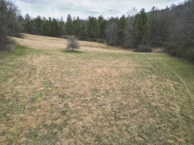 Recreational Land for Sale in Floyd VA! - image 12