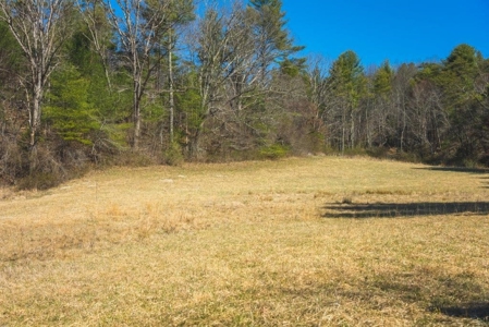 Recreational Land for Sale in Floyd VA! - image 4