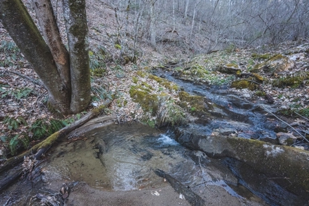River Front Timber Land for Sale in Floyd VA! - image 21