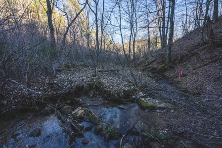 River Front Timber Land for Sale in Floyd VA! - image 20