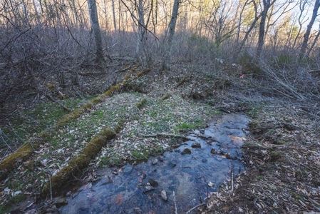 River Front Timber Land for Sale in Floyd VA! - image 18