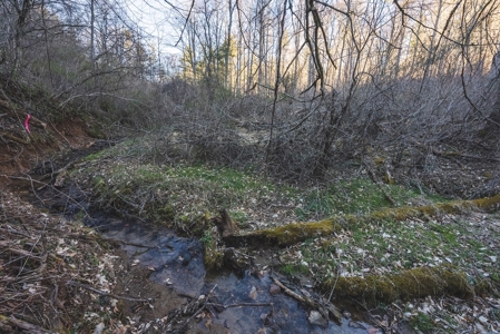 River Front Timber Land for Sale in Floyd VA! - image 19