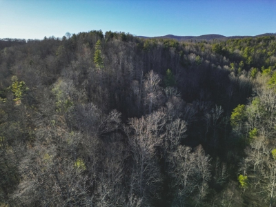 Fishing & Recreational Retreat for Sale in Floyd VA! - image 4