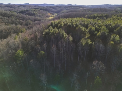 Fishing & Recreational Retreat for Sale in Floyd VA! - image 8