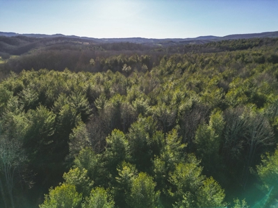 Fishing & Recreational Retreat for Sale in Floyd VA! - image 10