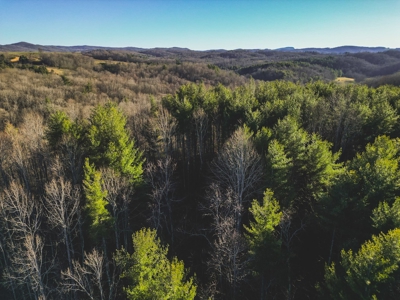 Fishing & Recreational Retreat for Sale in Floyd VA! - image 9