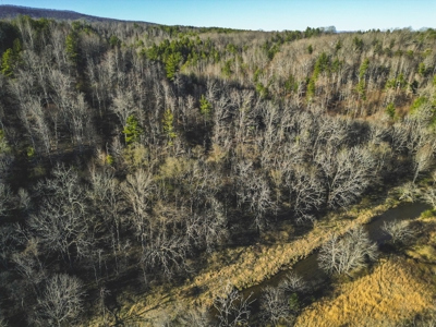Fishing & Recreational Retreat for Sale in Floyd VA! - image 5