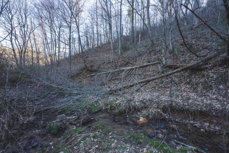 Fishing & Recreational Retreat for Sale in Floyd VA! - image 13