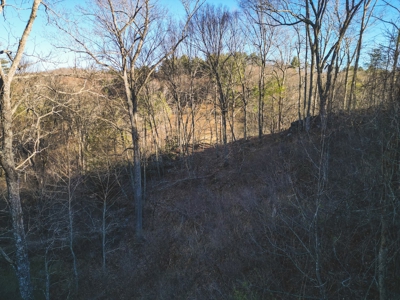 Fishing & Recreational Retreat for Sale in Floyd VA! - image 1