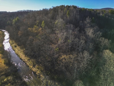 Fishing & Recreational Retreat for Sale in Floyd VA! - image 3