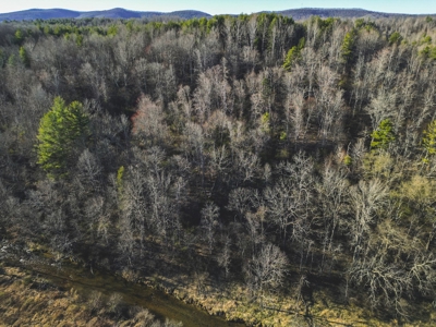 Fishing & Recreational Retreat for Sale in Floyd VA! - image 6