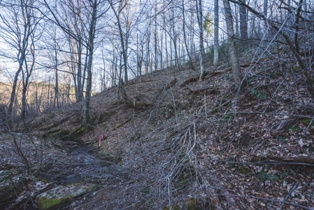 Fishing & Recreational Retreat for Sale in Floyd VA! - image 11