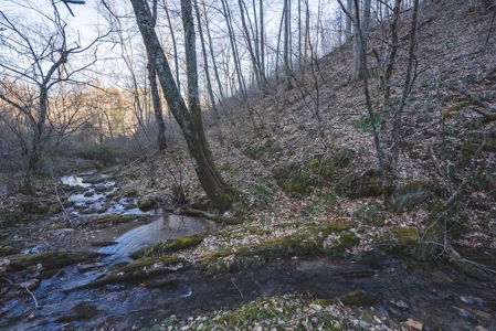 Fishing & Recreational Retreat for Sale in Floyd VA! - image 14