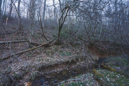 Fishing & Recreational Retreat for Sale in Floyd VA! - image 12