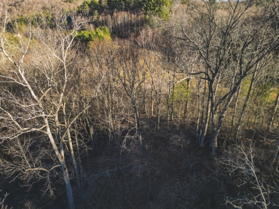 Fishing & Recreational Retreat for Sale in Floyd VA! - image 2