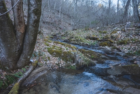 Fishing & Recreational Retreat for Sale in Floyd VA! - image 16