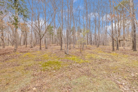 Country Retreat Living! - image 17