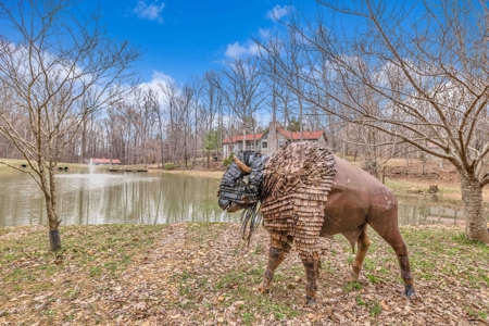 Country Retreat Living! - image 21