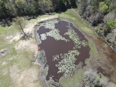 For Sale Horse Ranch and Log Home in Gilmer, Texas - image 41