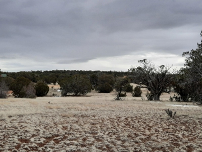 Perfect Parcel - image 6
