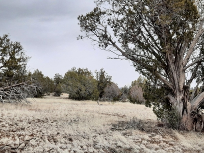 Perfect Parcel - image 1