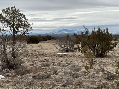 Land in Williams AZ for sale, Electric Power, Borders Public - image 8