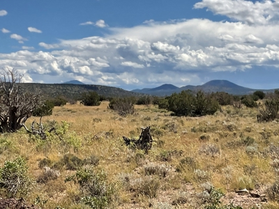 Land in Williams AZ for sale, Electric Power, Borders Public - image 4