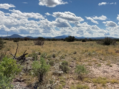 Land in Williams AZ for sale, Electric Power, Borders Public - image 1
