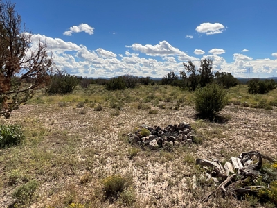 Land in Williams AZ for sale, Electric Power, Borders Public - image 3