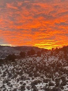 Mountain Home For Sale, Ridgway, Colorado - image 26