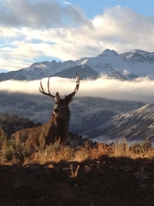 Mountain Home For Sale, Ridgway, Colorado - image 32