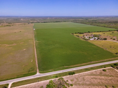 100 Acres For Sale In Orange Grove - image 12