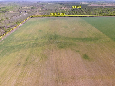 100 Acres For Sale In Orange Grove - image 19