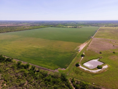 100 Acres For Sale In Orange Grove - image 37