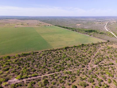 100 Acres For Sale In Orange Grove - image 8