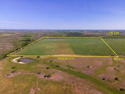 100 Acres For Sale In Orange Grove - image 11