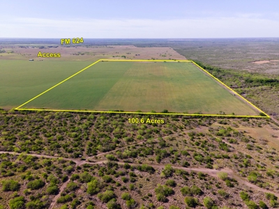 100 Acres For Sale In Orange Grove - image 2