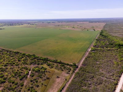 100 Acres For Sale In Orange Grove - image 28