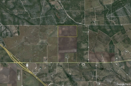 100 Acres For Sale In Orange Grove - image 5
