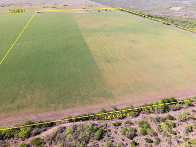 100 Acres For Sale In Orange Grove - image 21