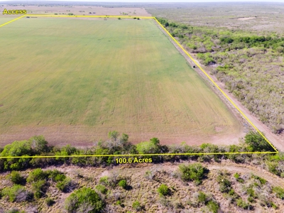 100 Acres For Sale In Orange Grove - image 7