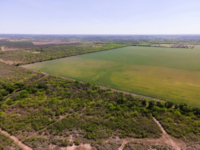 100 Acres For Sale In Orange Grove - image 15