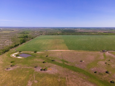 100 Acres For Sale In Orange Grove - image 24