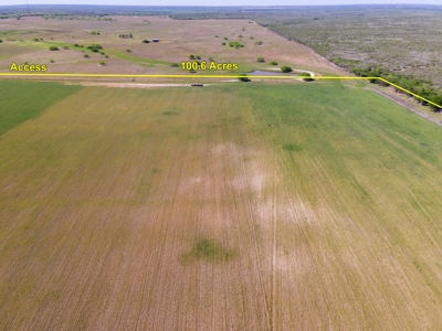 100 Acres For Sale In Orange Grove - image 4