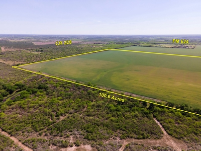 100 Acres For Sale In Orange Grove - image 1