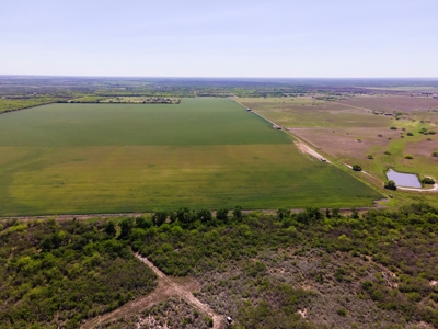 100 Acres For Sale In Orange Grove - image 6