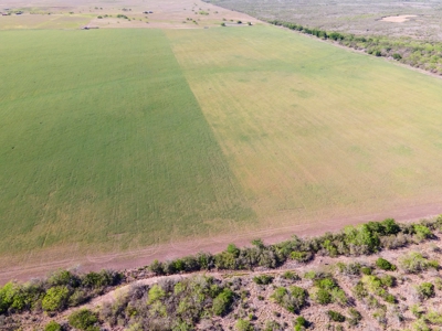 100 Acres For Sale In Orange Grove - image 34