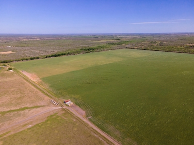 100 Acres For Sale In Orange Grove - image 35