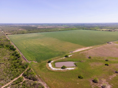 100 Acres For Sale In Orange Grove - image 10